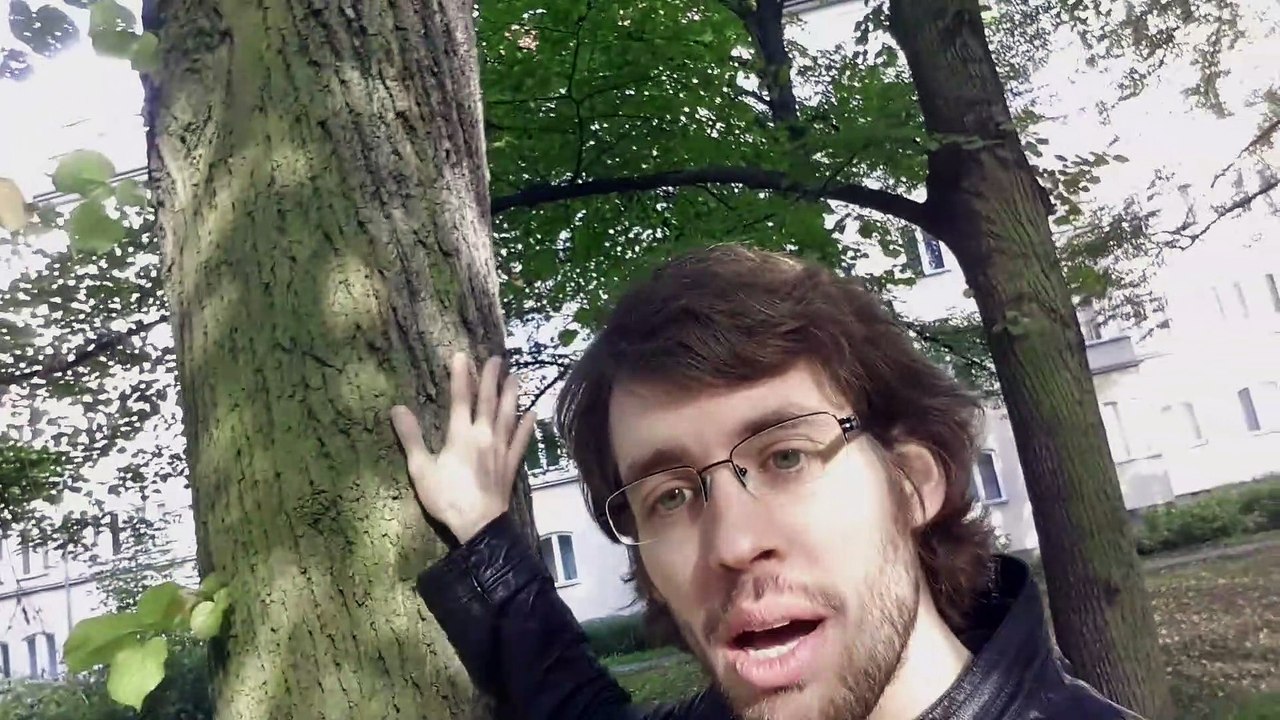 Einmal um den Baum herum #German #learnGerman #GermanForBeginners