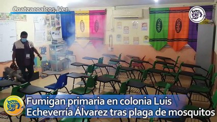 Fumigan primaria en colonia Luis Echeverría Álvarez tras plaga de mosquitos