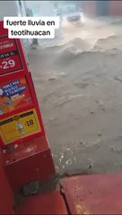 Apareceu e salvou menina a ser arrastada por corrente de água