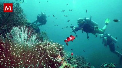 Explorando las Profundidades: desafíos y maravillas del océano