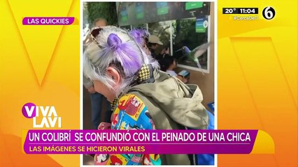 Colibrí cofunde el cabello de una chica con su nido