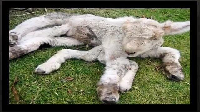 Top 10 Disturbing and Unexplained Photographs strange mysteries of the earth