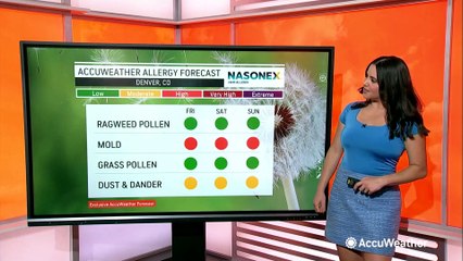 High levels of mold and dust in the forecast for those with allergies