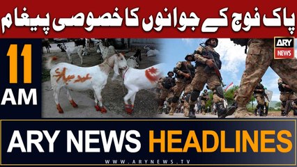 ARY News 11 AM Headlines 30th June |      