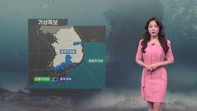 [날씨] 남해안·제주도 강한 장맛비...중부 무더위 속 소나기 / YTN