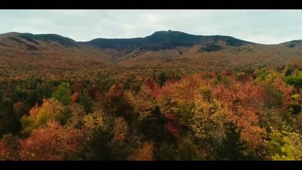 Paint Bande-annonce (EN)