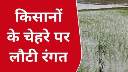 अररिया: झमाझम बारिश से मौसम हुआ सुहावना किसानों की चेहरे पर फिर से लौटी रौनक