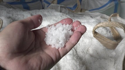 장맛비에도 '천일염' 완판...보험사는 '공포 마케팅' [앵커리포트] / YTN