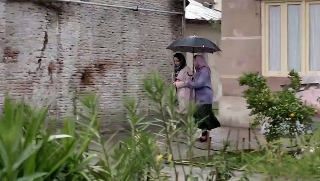 African Violet Bande-annonce (EN)