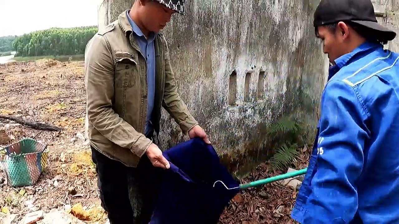 4 Horror Hunters Clashes With Violent Snakes Rushing Attacks Hunters...