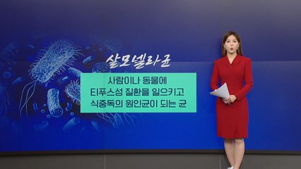 여름철 불청객 '살모넬라균'...주의해야할 점은? [앵커리포트] / YTN