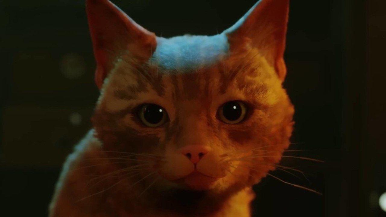 Stray kommt schon bald auf die xbox und den süßen neuen trailer müsst ihr gesehen haben