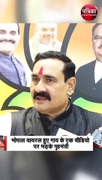 भोपाल वायरल हुए गाय के एक वीडियो पर भड़के गृहमंत्री