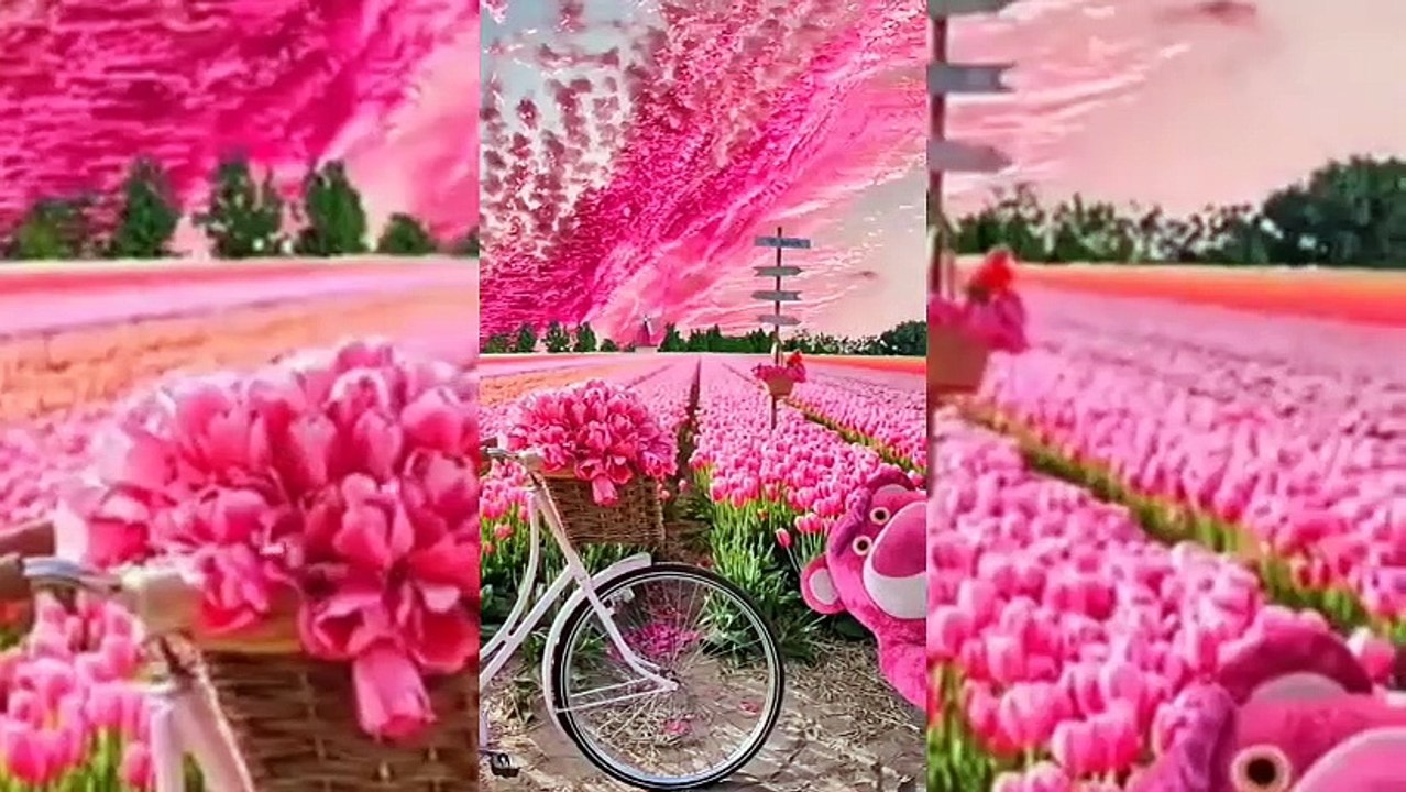 Nature Love