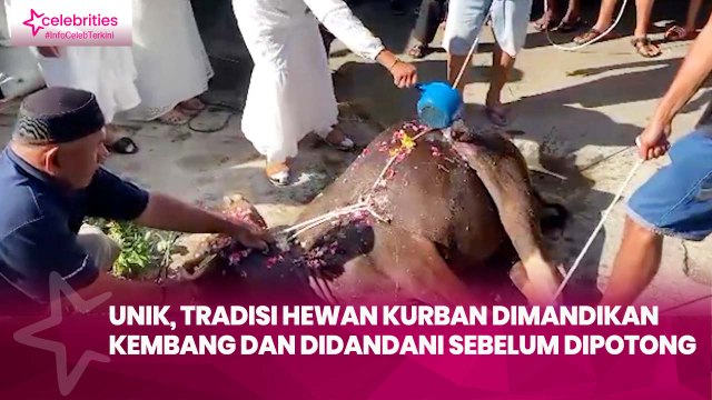 Unik, Tradisi Hewan Kurban Dimandikan Kembang dan Didandani sebelum Dipotong