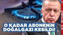 Erdoğan'ın Gaz Şovu Rakamlarla Son Buldu! O Kadar Abonenin Doğalgazı Kesildi