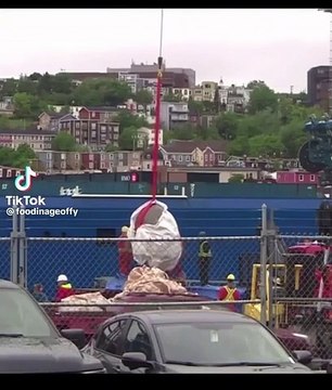 Ritrovati presunti resti umani tra i detriti del Titan