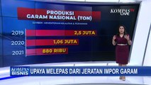 Produksi Garam Dalam Negeri Belum Penuhi Kebutuhan Garam Nasional, Apa Masalahanya?