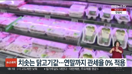 치솟는 닭고기값…연말까지 관세율 0% 적용