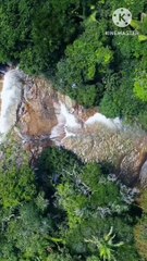 Top 3 Popular Anime in the world