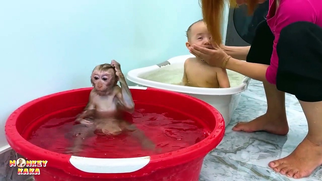 Monkey KaKa and baby Diem bathing together look so happy