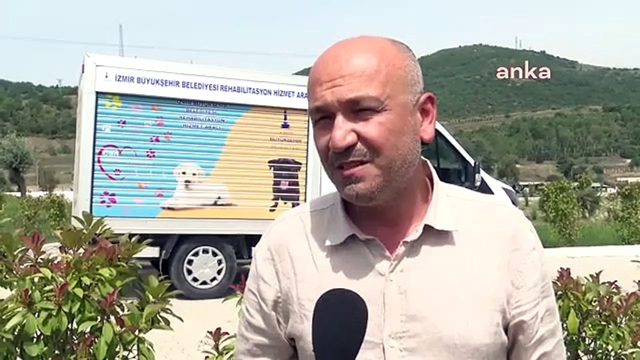 25 000 chats et chiens castrés en un an à Izmir