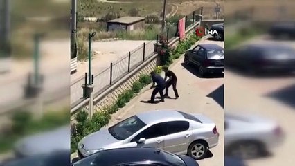 Le serpent entrant dans le jardin de la maison a semé la panique