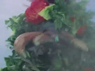 Ultraman Taro Episode 11 : The Vampire Flower is a Girl's Spirit