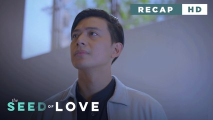 The Seed of Love: The devoted father starts to neglect his daughter (Weekly Recap HD)