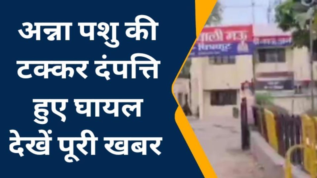 चित्रकूट: बाइक सवार दंपति के खून से सड़क लाल,इस जानवर के कारण हुआ हादसा