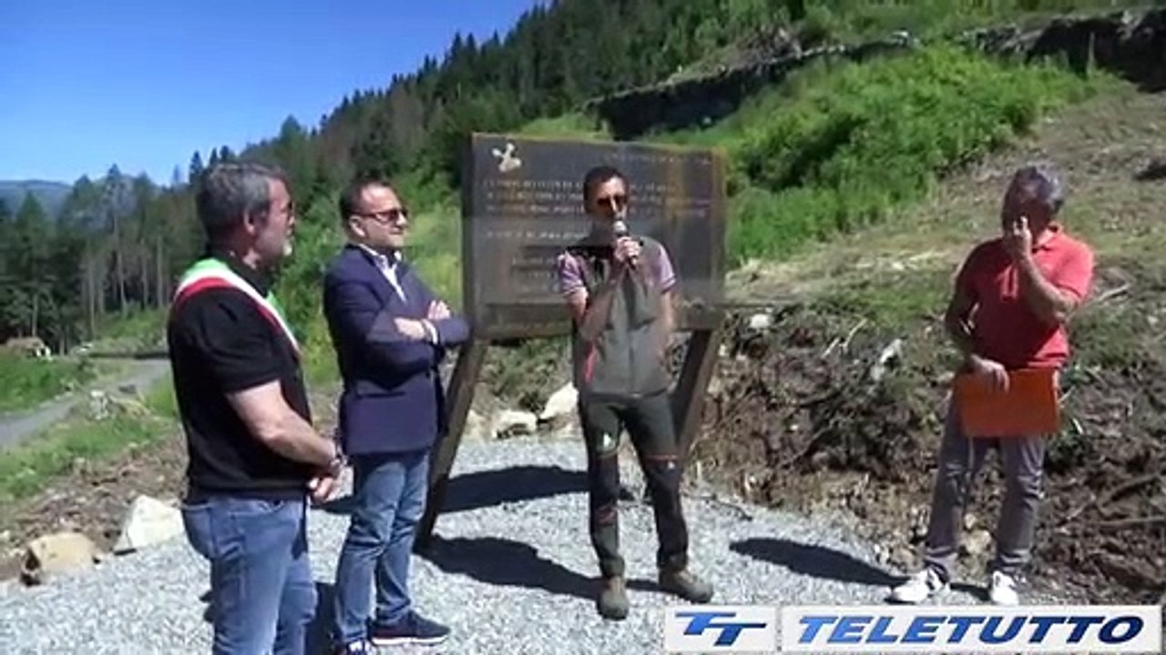 Video News - MONUMENTO ALLA RINASCITA DOPO LA TEMPESTA VAIA