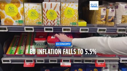 Inflation in the eurozone slips to 5.5% but more central bank rate hikes planned