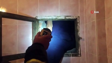 Un chat coincé dans un toit sauvé