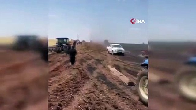 Şanlıurfa'da ekili arazide çıkan yangında 60 dönüm buğday kül oldu