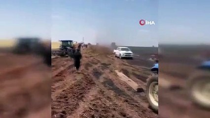 Şanlıurfa'da ekili arazide çıkan yangında 60 dönüm buğday kül oldu
