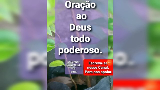 Oração ao Deus todo poderoso. Bênçãos de Deus.