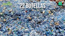 Todas las increíbles vidas que pueden tener botellas, papeles, briks y latas