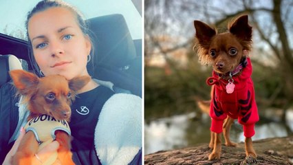 'My Dog Saved My Life!'