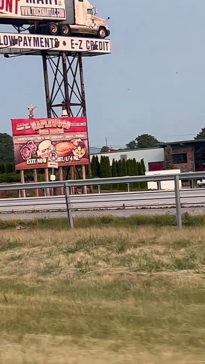 Crazy Cow Chase