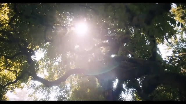 Dune: Deuxième Partie Bande-annonce (DE)