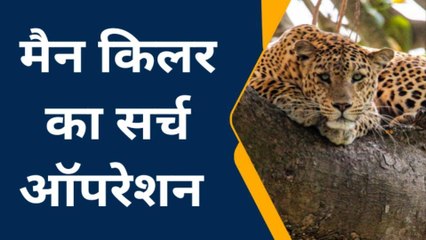 बिजनौर: गुलदार ने वन विभाग की बकरी को बनाया निवाला, हाथ मलती रह गई सर्च टीम