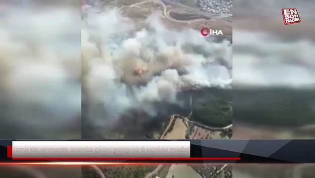 İzmir'de ormanlık alanda çıkan yangına 6 uçakla müdahale