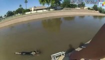 Cane nuota in un canale: gli agenti lo salvano con dei muffin (VIDEO)