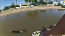 Cane nuota in un canale: gli agenti lo salvano con dei muffin (VIDEO)