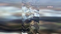 İzmir Menemen'de Orman Yangını Çıktı