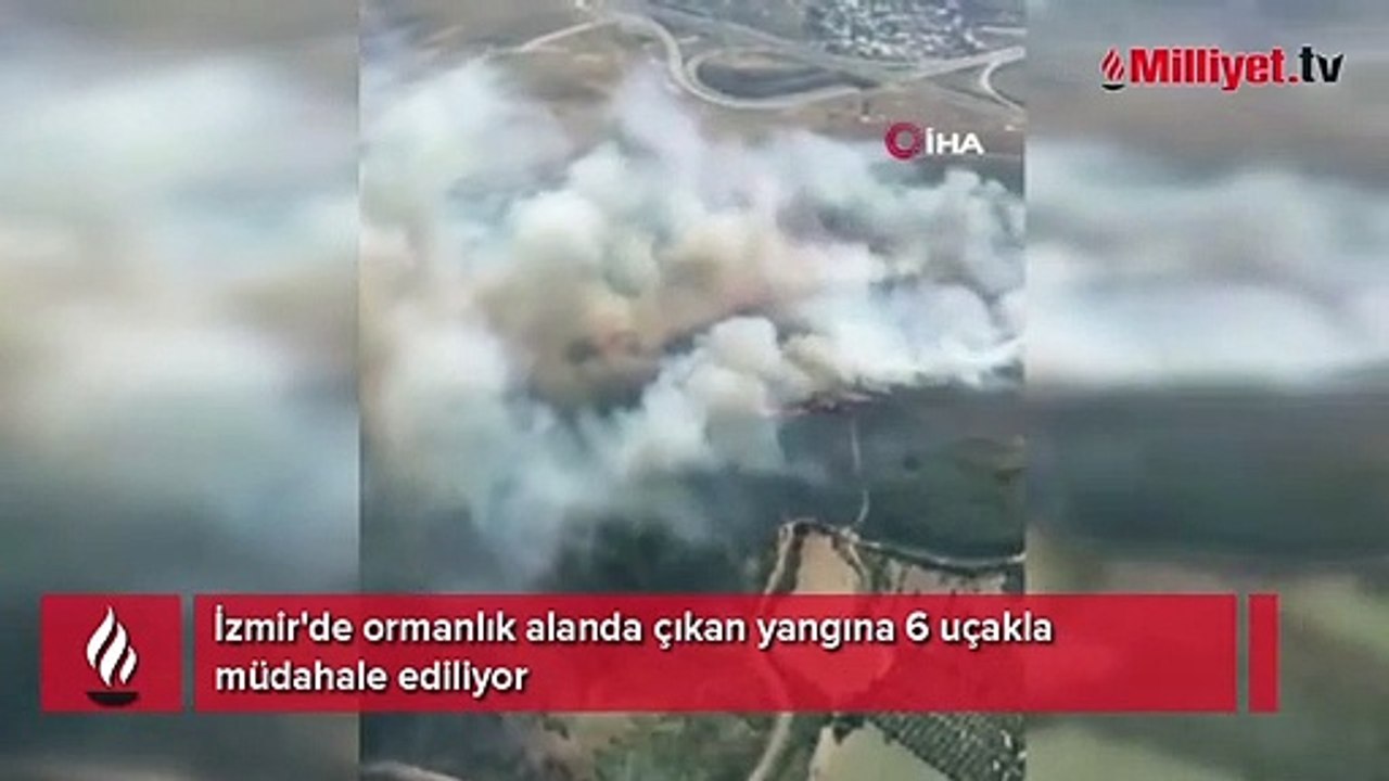 İzmir'de orman yangını! Ekipler müdahale ediyor