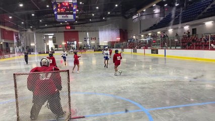 Championnat de crosse de l'Est du Canada