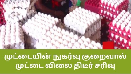 நாமக்கல்லில் முட்டை விலை திடீர் சரிவு!