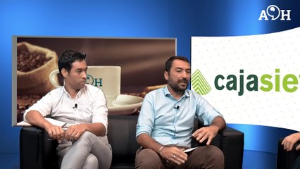 Manuel del Castillo - La situación económica de Canarias
