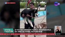 21-kg na Siberian Husky, nagpakarga sa amo sa gitna ng Fun Run | SONA